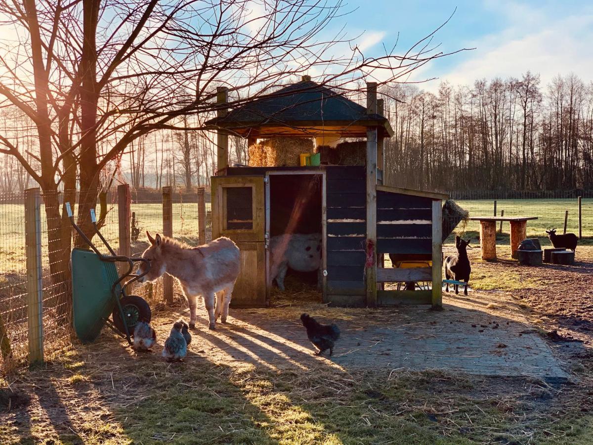 Camping Vossenberg - Op De Veluwe! Epe Bagian luar foto